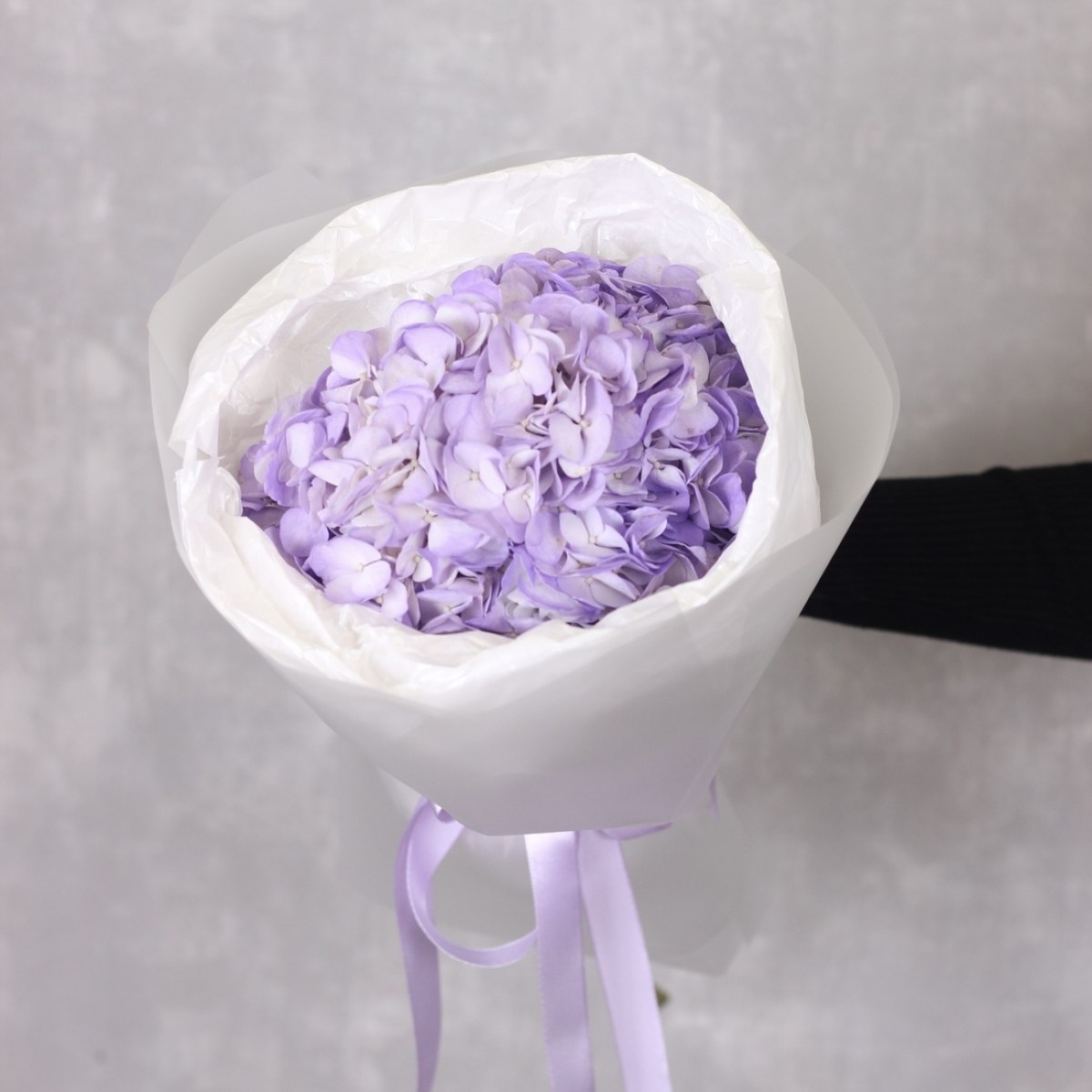 sirenevaya gortenziya 4